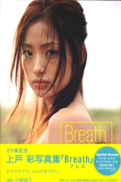 葉昊鄭漫兒絕世贅婿大結局