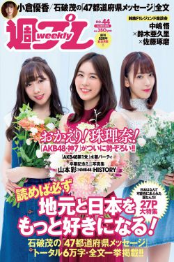 紋舞蘭